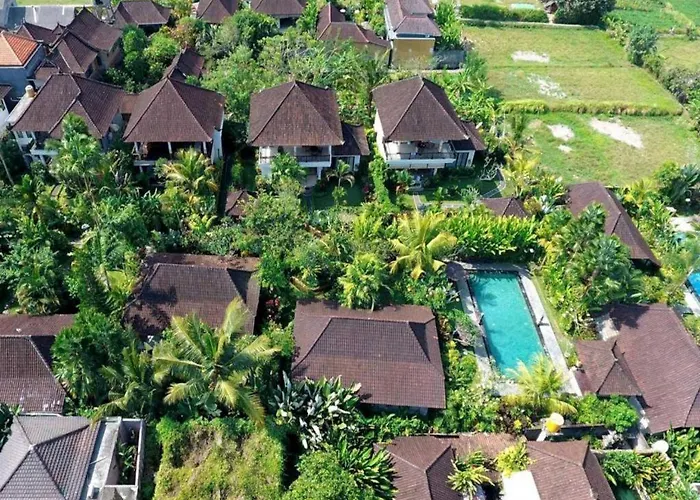 Bali Dream 4*